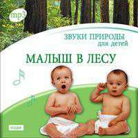 CD-ROM (MP3). Звуки природы для детей. Малыш в лесу, , 0000