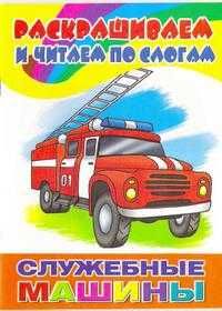 Служебные машины, , 2009