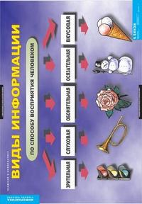 Введение в информатику (12 таблиц), , 2008