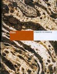 Бах: Страсти по Иоанну, , 2008