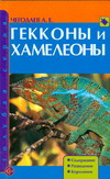 Гекконы и хамелеоны, Чагодаев А.Е., 2008