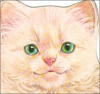 Котенок, , 2008