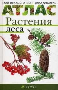 Атлас: Растения леса, Козлова Татьяна, 2008