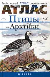 Птицы Арктики. Твой первый атлас-определитель, Овсянникова Е.В., 2009
