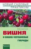 Вишня, Сычов А., 2009