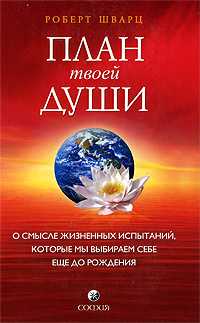 План твоей души. О смысле жизненных испытаний, которые мы выбираем себе еще до рождения, Шварц Роберт, 2009