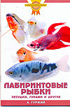 Лабиринтовые рыбки. Петушки, гурами и другие, Гуржий А.Н., 2009