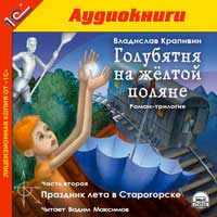 CD-ROM (MP3). Голубятня на желтой поляне. Часть 2. Праздник лета в Старогорске, , 0000
