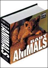 Baby Animals, Valeria Manferto De Fabianis, 2006