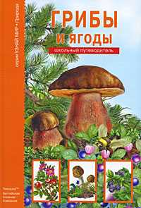 Грибы и ягоды, Афонькин С.Ю., 2010