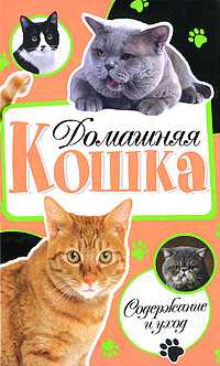 Домашняя кошка. Содержание и уход, Дазидова Д., 2010