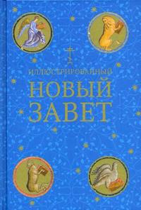 Иллюстрированный Новый Завет. Библейские сюжеты в русской и мировой живописи, , 2010