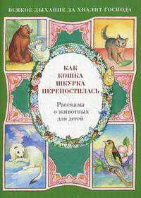 Как кошка Шкурка перепостилась. Рассказы о животных для детей, Скоробогатько Н., 2012