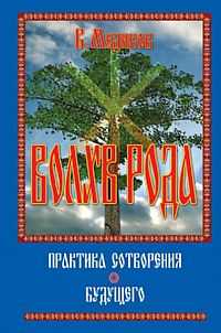 Волхв рода. Практика построения будущего, Медиков В., 2010