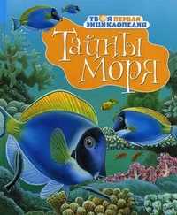 Тайны моря, Пимон Мари-Рене, 2011