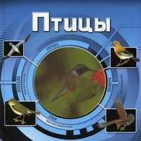 Птицы, , 2010