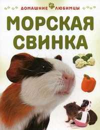 Морская свинка, Рейнер М., 2010