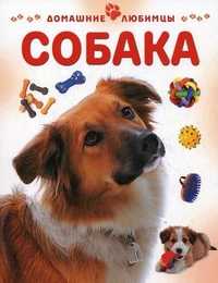 Собака, Рейнер М., 2010