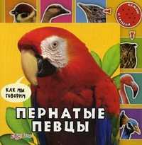 Пернатые певцы. Нажми и слушай, Зубкова Валерия, 2011