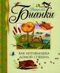 Как муравьишка домой спешил, Бианки В., 2011