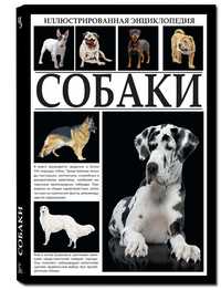 Собаки, Кашин, 2011