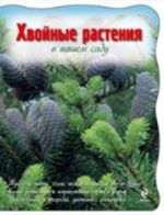Хвойные растения в вашем саду, , 2011