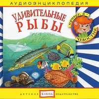Audio CD. Аудиоэнциклопедия. Удивительные рыбы, , 0000
