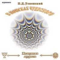 CD-ROM (MP3). В поисках чудесного (количество CD дисков: 2), , 0000