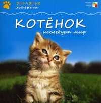 Котенок исследует мир, Тейтелбаум Майкл, 2011