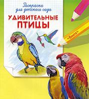 Удивительные птицы. Раскраска для детского сада, , 2010