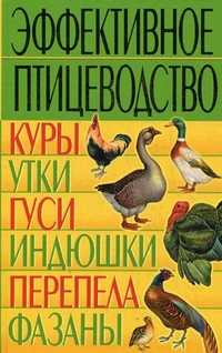 Эффективное птицеводство. Куры, утки, гуси, индюшки, перепела, фазаны, Балашов Кирилл Владимирович, 2011