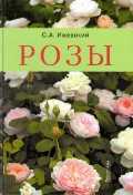 Розы, Ижевский С.А., 2011