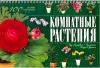 Комнатные растения. 100 самых популярных, Якушева М.Н., 2011