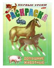 Раскраска. Домашние животные, 8 листов, А5, , 0000
