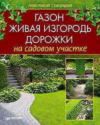 Газон, живая изгородь, дорожки на садовом участке, Скворцова А., 2011