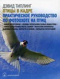 Птицы в кадре. Самое практическое руководство по фотоохоте на птиц с цифровой фотокамерой, Типлинг Дэвид, 2011